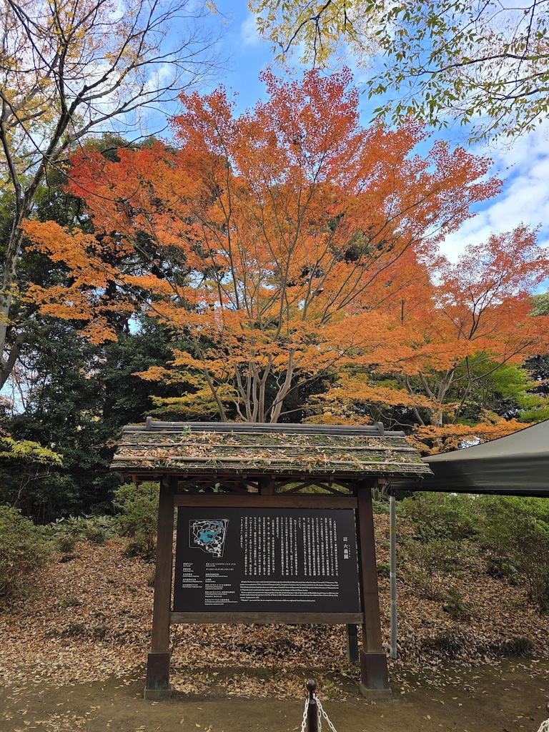 2025-11-29 東京親子賞楓旅Day3-1 六義園與螃蟹道樂