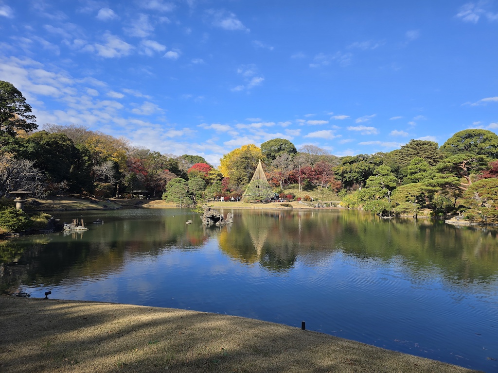 2025-11-29 東京親子賞楓旅Day3-1 六義園與螃蟹道樂