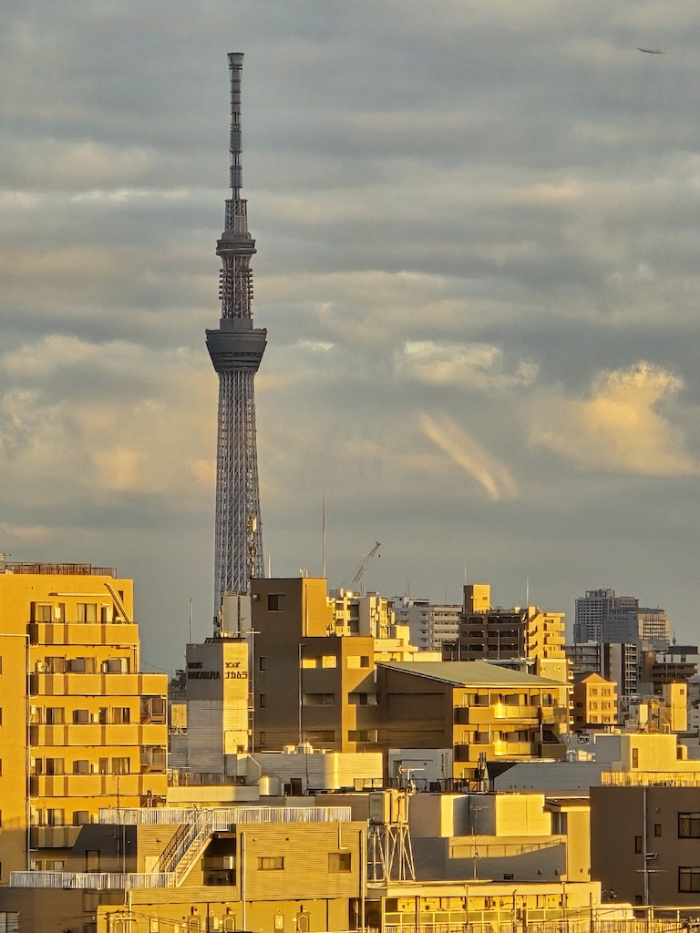 2025-11-29 東京親子賞楓旅Day3-2 荒川遊樂園+炸豬排一勝