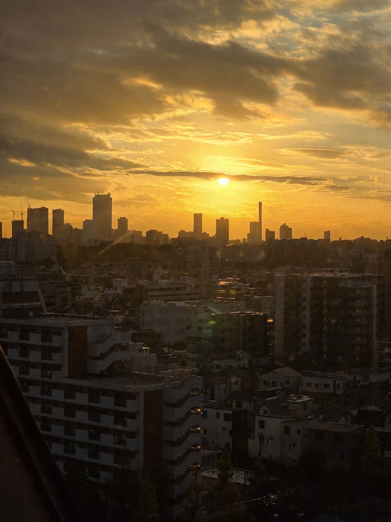 2025-11-29 東京親子賞楓旅Day3-2 荒川遊樂園+炸豬排一勝