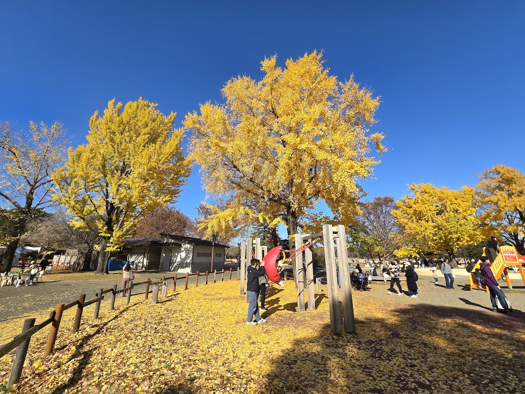 2025-11-30 東京親子賞楓旅 Day4-1 昭和紀念公園+Harbs慶生