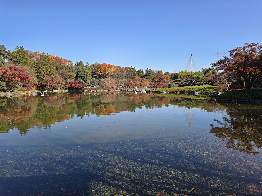 2025-11-30 東京親子賞楓旅 Day4-1 昭和紀念公園+Harbs慶生