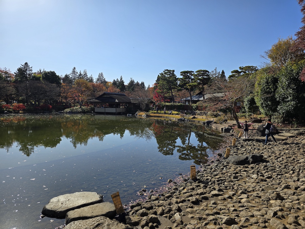 2025-11-30 東京親子賞楓旅 Day4-1 昭和紀念公園+Harbs慶生