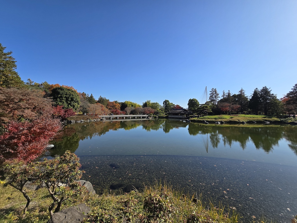 2025-11-30 東京親子賞楓旅 Day4-1 昭和紀念公園+Harbs慶生