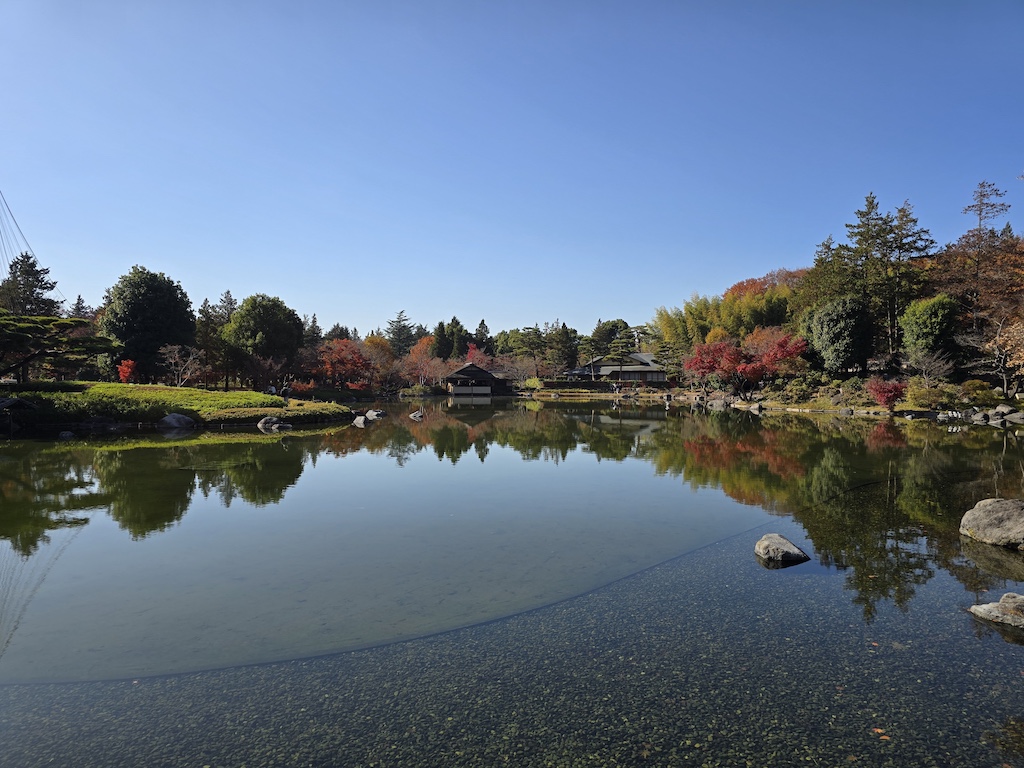 2025-11-30 東京親子賞楓旅 Day4-1 昭和紀念公園+Harbs慶生