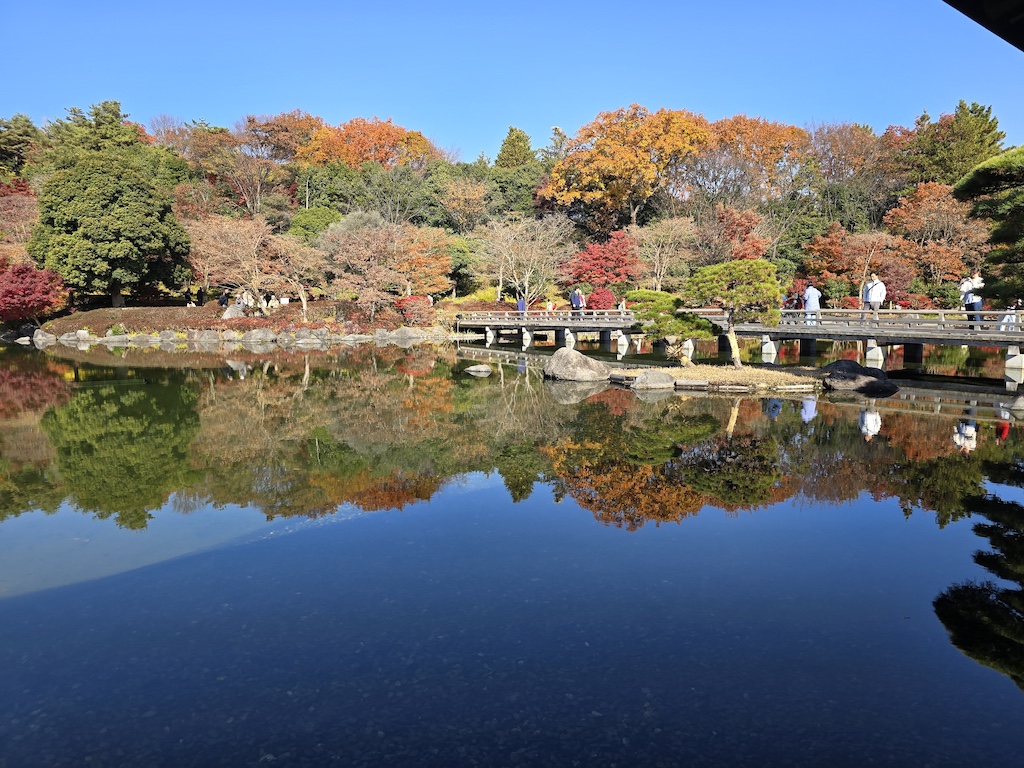 2025-11-30 東京親子賞楓旅 Day4-1 昭和紀念公園+Harbs慶生