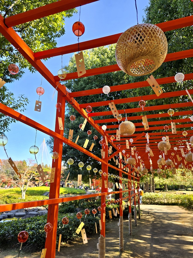 2025-11-30 東京親子賞楓旅 Day4-1 昭和紀念公園+Harbs慶生