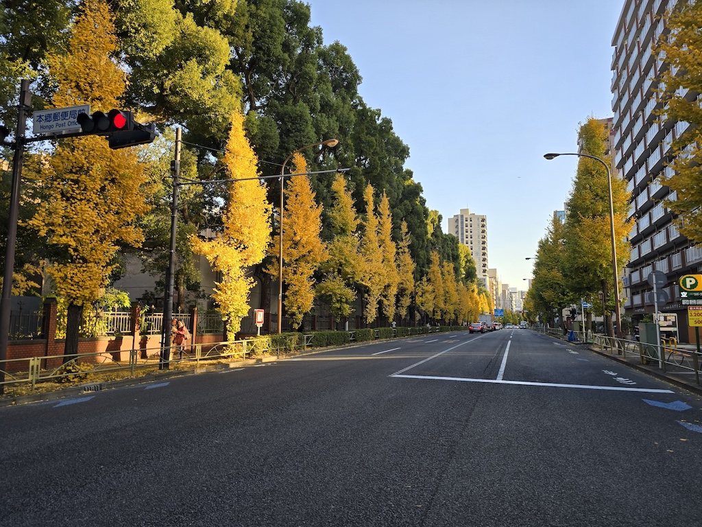 2025-11-30 東京親子賞楓旅Day4-2 東大銀杏＋東京車站伴手禮＋やぶ久