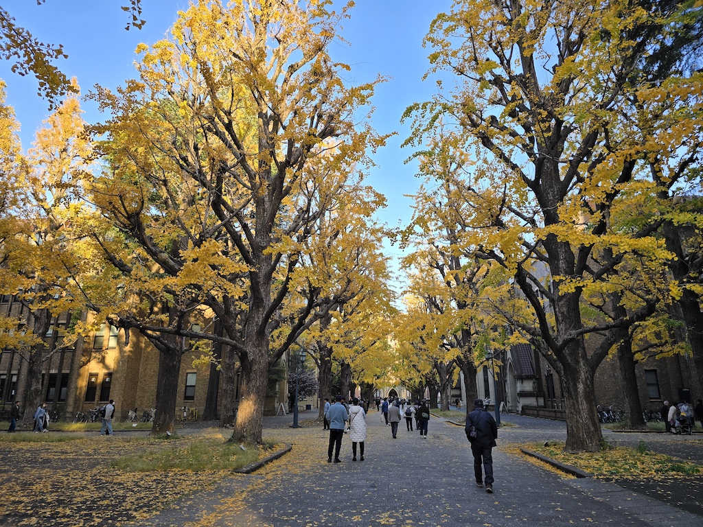 2025-11-30 東京親子賞楓旅Day4-2 東大銀杏＋東京車站伴手禮＋やぶ久