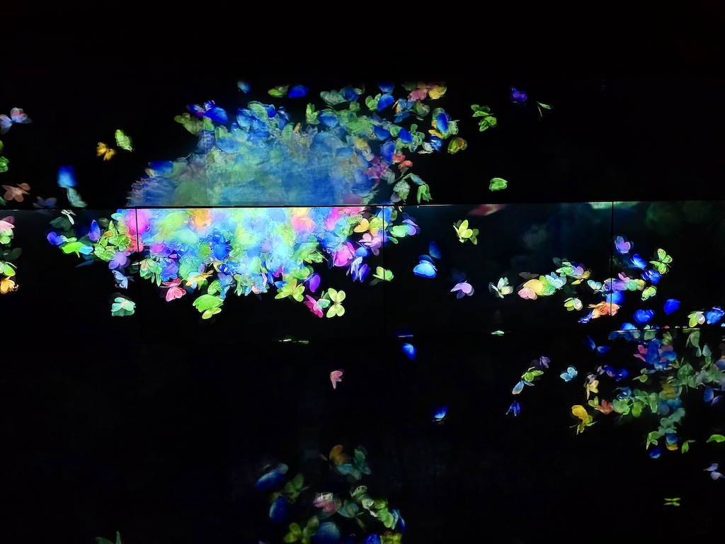 2025-12-01 東京親子賞楓旅Day5 Teamlab+敘敘苑＋六本木甜點