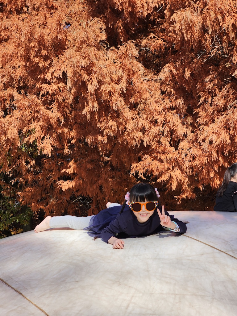 2025-11-30 東京親子賞楓旅 Day4-1 昭和紀念公園+Harbs慶生