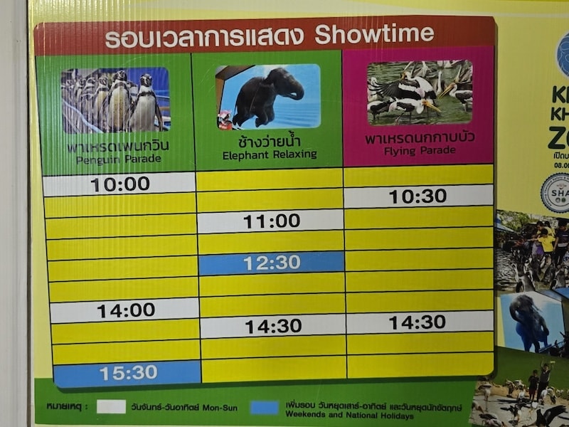 【2026 綠山動物園包車攻略】綠山動物園一日遊,輕鬆看大象游泳與Moo Deng彈力豬! - 第6張圖 【2026 綠山動物園包車攻略】綠山動物園一日遊,輕鬆看大象游泳與Moo Deng彈力豬!