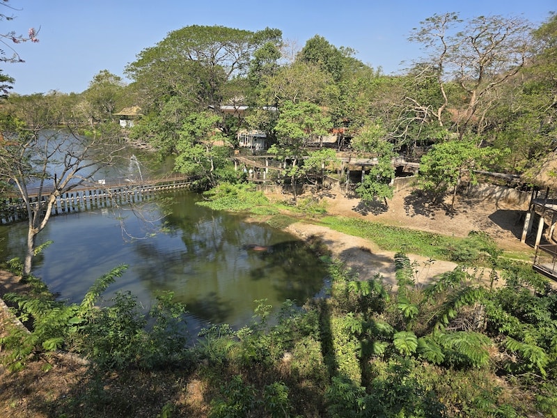 【2026 綠山動物園包車攻略】綠山動物園一日遊,輕鬆看大象游泳與Moo Deng彈力豬! - 第19張圖 【2026 綠山動物園包車攻略】綠山動物園一日遊,輕鬆看大象游泳與Moo Deng彈力豬!