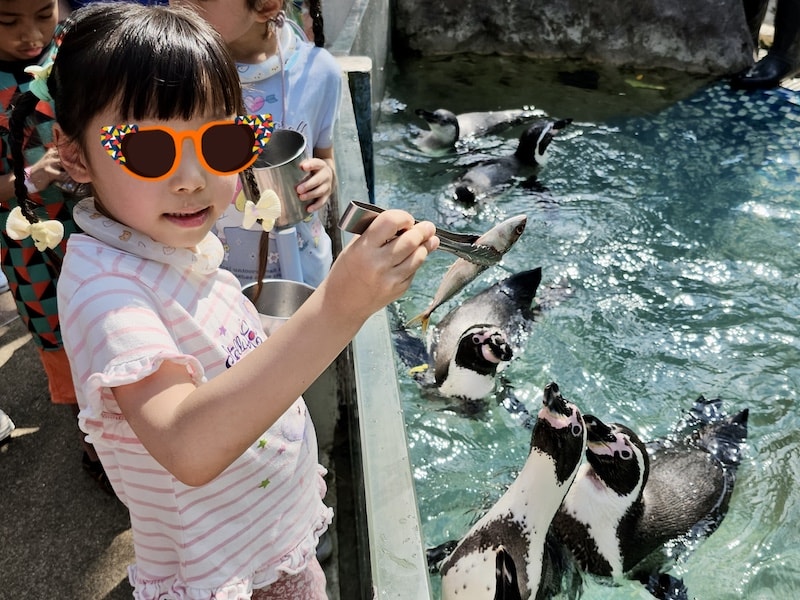 【2026 綠山動物園包車攻略】綠山動物園一日遊,輕鬆看大象游泳與Moo Deng彈力豬! - 第18張圖 【2026 綠山動物園包車攻略】綠山動物園一日遊,輕鬆看大象游泳與Moo Deng彈力豬!