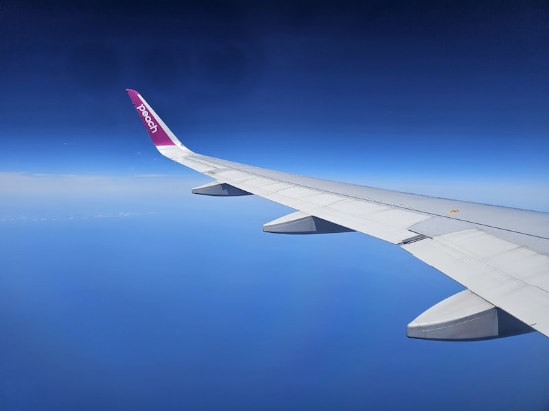 樂桃航空MM024 TPE-KIX 台北-關西飛行紀錄 - 第23張圖 樂桃航空MM024 TPE-KIX 台北-關西飛行紀錄