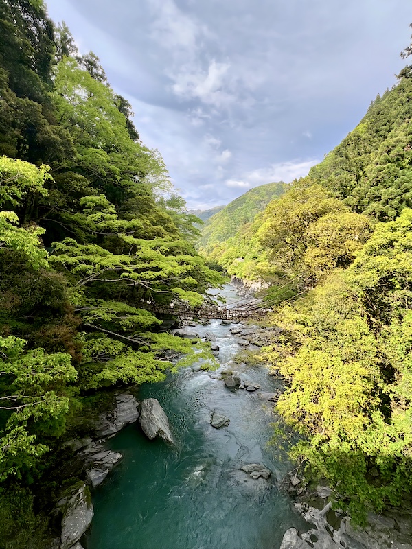 [璀璨四國] 跟著燦星旅遊玩德島！大步危峽谷遊覽船、秘境祖谷葛藤橋體驗全紀錄