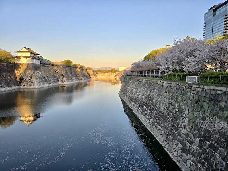 大阪城公園櫻滿開:西之丸庭園與天守閣的粉嫩協奏曲,再訪利久牛舌重溫炭火香 - 第6張圖 大阪城公園櫻滿開:西之丸庭園與天守閣的粉嫩協奏曲,再訪利久牛舌重溫炭火香