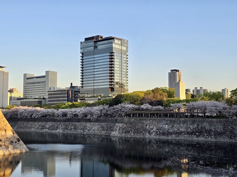 大阪城公園櫻滿開:西之丸庭園與天守閣的粉嫩協奏曲,再訪利久牛舌重溫炭火香 - 第8張圖 大阪城公園櫻滿開:西之丸庭園與天守閣的粉嫩協奏曲,再訪利久牛舌重溫炭火香