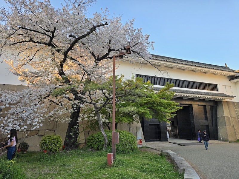 大阪城公園櫻滿開:西之丸庭園與天守閣的粉嫩協奏曲,再訪利久牛舌重溫炭火香 - 第10張圖 大阪城公園櫻滿開:西之丸庭園與天守閣的粉嫩協奏曲,再訪利久牛舌重溫炭火香