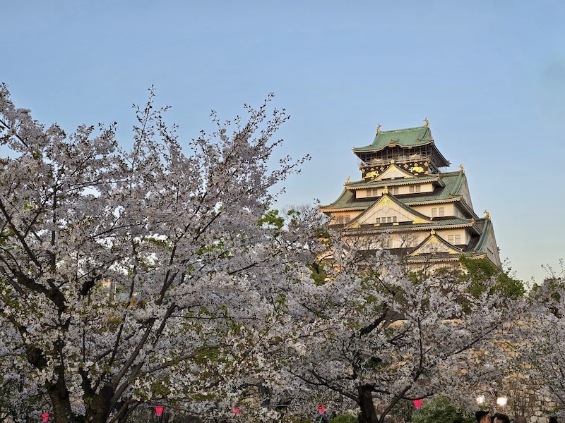 大阪城公園櫻滿開:西之丸庭園與天守閣的粉嫩協奏曲,再訪利久牛舌重溫炭火香 - 第19張圖 大阪城公園櫻滿開:西之丸庭園與天守閣的粉嫩協奏曲,再訪利久牛舌重溫炭火香