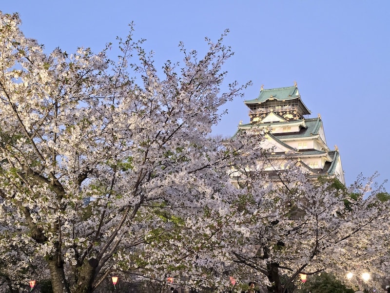 大阪城公園櫻滿開:西之丸庭園與天守閣的粉嫩協奏曲,再訪利久牛舌重溫炭火香 - 第27張圖 大阪城公園櫻滿開:西之丸庭園與天守閣的粉嫩協奏曲,再訪利久牛舌重溫炭火香