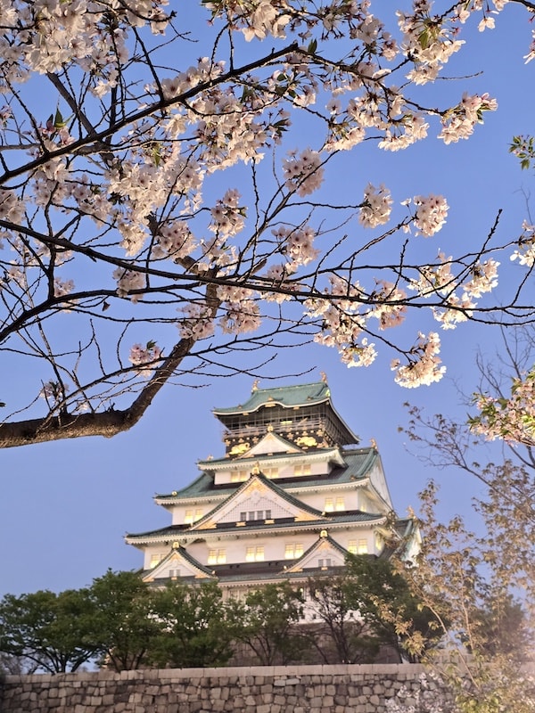 大阪城公園櫻滿開:西之丸庭園與天守閣的粉嫩協奏曲,再訪利久牛舌重溫炭火香 - 第28張圖 大阪城公園櫻滿開:西之丸庭園與天守閣的粉嫩協奏曲,再訪利久牛舌重溫炭火香