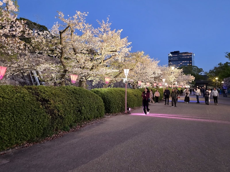 大阪城公園櫻滿開:西之丸庭園與天守閣的粉嫩協奏曲,再訪利久牛舌重溫炭火香 - 第29張圖 大阪城公園櫻滿開:西之丸庭園與天守閣的粉嫩協奏曲,再訪利久牛舌重溫炭火香