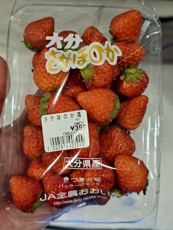 大阪城公園櫻滿開:西之丸庭園與天守閣的粉嫩協奏曲,再訪利久牛舌重溫炭火香 - 第39張圖 大阪城公園櫻滿開:西之丸庭園與天守閣的粉嫩協奏曲,再訪利久牛舌重溫炭火香