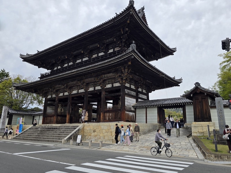 今年櫻花早開怎麼辦?京都「晚開櫻」首選仁和寺:帶孩子輕鬆賞櫻的世界遺產之旅 - 第2張圖 今年櫻花早開怎麼辦?京都「晚開櫻」首選仁和寺:帶孩子輕鬆賞櫻的世界遺產之旅