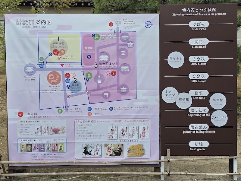 今年櫻花早開怎麼辦?京都「晚開櫻」首選仁和寺:帶孩子輕鬆賞櫻的世界遺產之旅 - 第30張圖 今年櫻花早開怎麼辦?京都「晚開櫻」首選仁和寺:帶孩子輕鬆賞櫻的世界遺產之旅