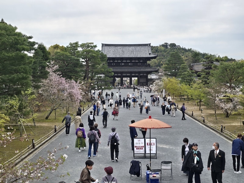 今年櫻花早開怎麼辦?京都「晚開櫻」首選仁和寺:帶孩子輕鬆賞櫻的世界遺產之旅 - 第26張圖 今年櫻花早開怎麼辦?京都「晚開櫻」首選仁和寺:帶孩子輕鬆賞櫻的世界遺產之旅