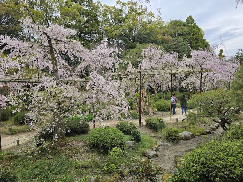 平安神宮賞櫻、宇治焙茶冰淇淋、環球影城GAP掃貨行程全紀錄 - 第17張圖 平安神宮賞櫻、宇治焙茶冰淇淋、環球影城GAP掃貨行程全紀錄