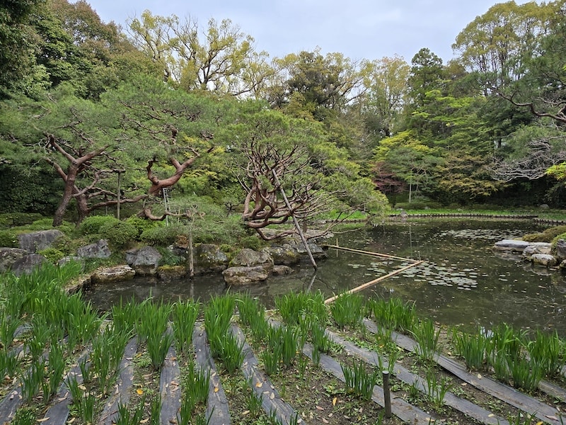 平安神宮賞櫻、宇治焙茶冰淇淋、環球影城GAP掃貨行程全紀錄 - 第19張圖 平安神宮賞櫻、宇治焙茶冰淇淋、環球影城GAP掃貨行程全紀錄