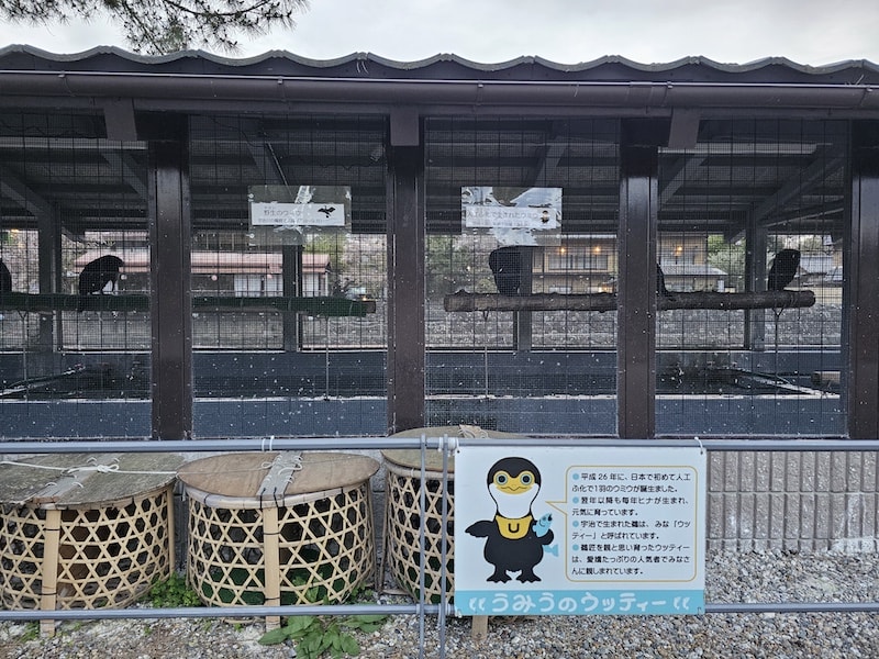 平安神宮賞櫻、宇治焙茶冰淇淋、環球影城GAP掃貨行程全紀錄 - 第44張圖 平安神宮賞櫻、宇治焙茶冰淇淋、環球影城GAP掃貨行程全紀錄