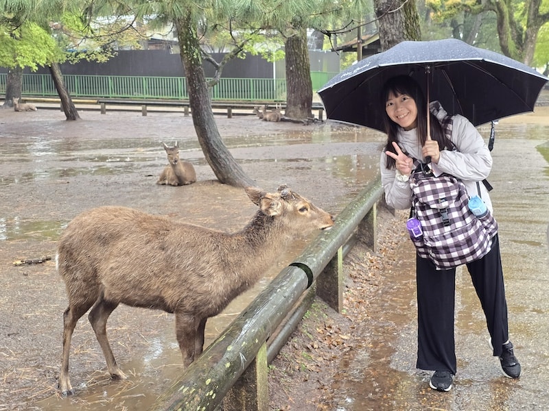 奈良雨中賞櫻記,還是轉戰天王寺入手 On 運動鞋比較實在 - 第4張圖 奈良雨中賞櫻記,還是轉戰天王寺入手 On 運動鞋比較實在