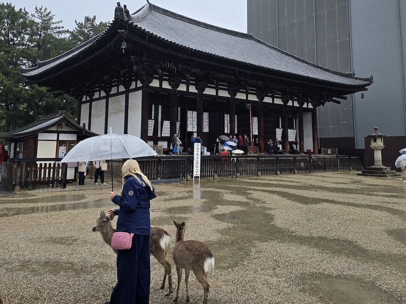 奈良雨中賞櫻記,還是轉戰天王寺入手 On 運動鞋比較實在 - 第10張圖 奈良雨中賞櫻記,還是轉戰天王寺入手 On 運動鞋比較實在