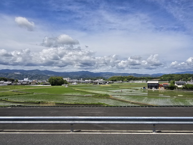 [璀璨四國] 跟著燦星旅遊玩德島！大步危峽谷遊覽船、秘境祖谷葛藤橋體驗全紀錄