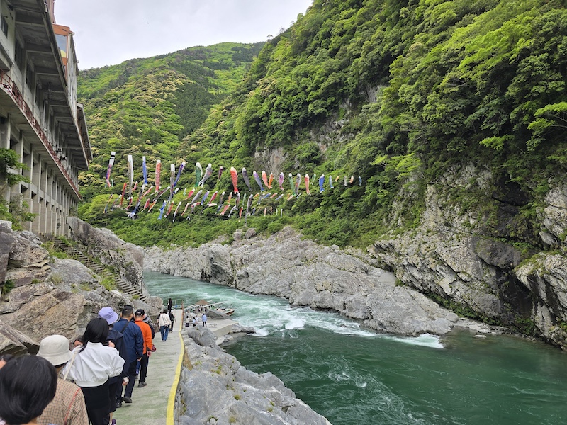 [璀璨四國] 跟著燦星旅遊玩德島！大步危峽谷遊覽船、秘境祖谷葛藤橋體驗全紀錄