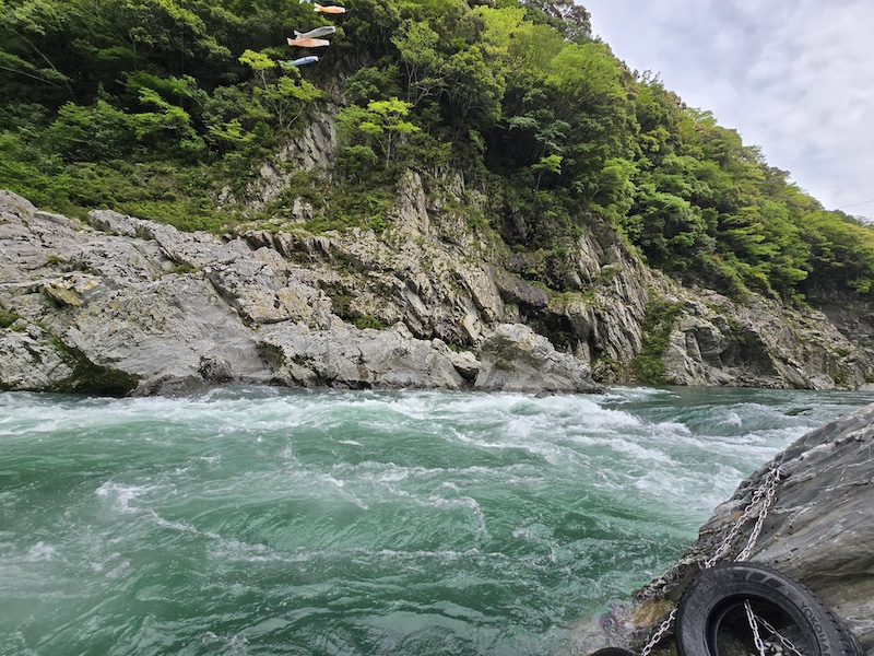 [璀璨四國] 跟著燦星旅遊玩德島！大步危峽谷遊覽船、秘境祖谷葛藤橋體驗全紀錄