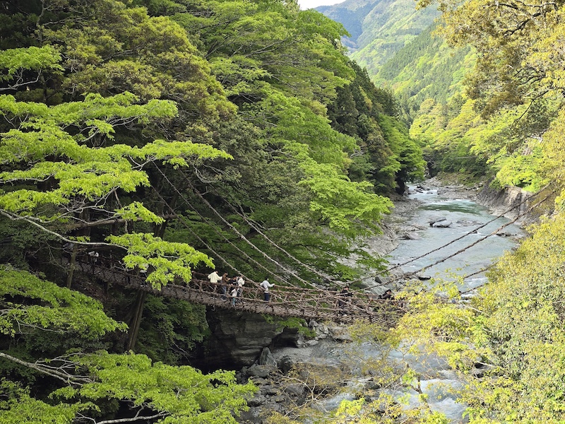 [璀璨四國] 跟著燦星旅遊玩德島！大步危峽谷遊覽船、秘境祖谷葛藤橋體驗全紀錄