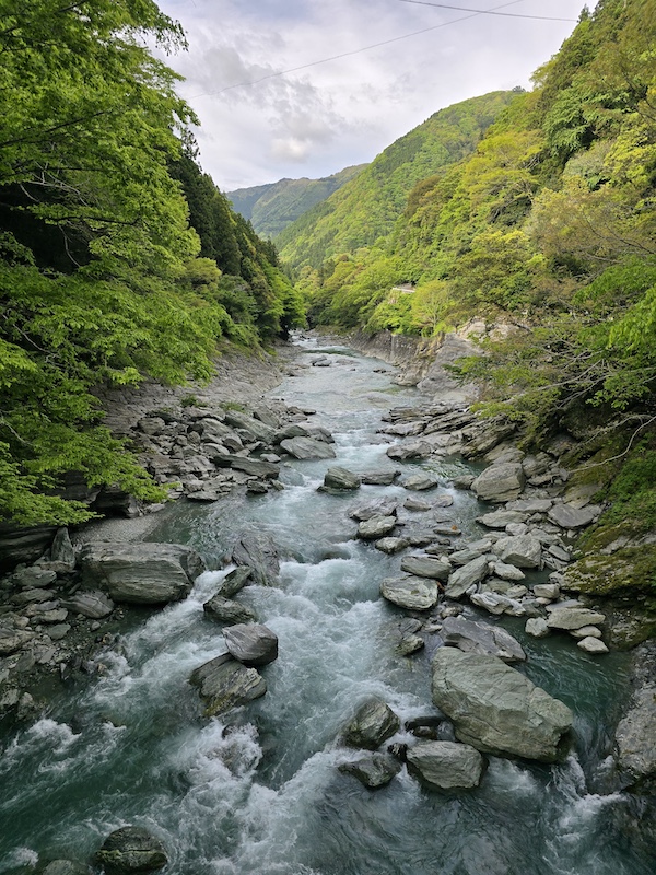 [璀璨四國] 跟著燦星旅遊玩德島！大步危峽谷遊覽船、秘境祖谷葛藤橋體驗全紀錄