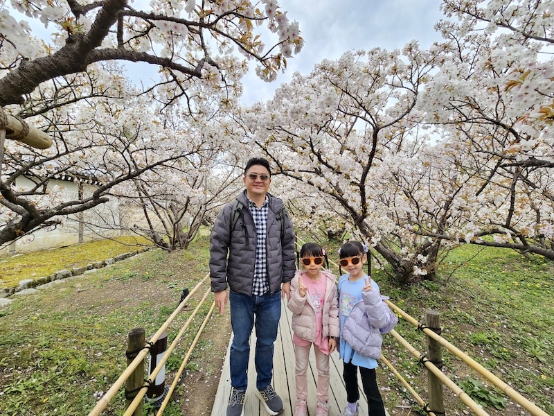 今年櫻花早開怎麼辦?京都「晚開櫻」首選仁和寺:帶孩子輕鬆賞櫻的世界遺產之旅 - 第11張圖 今年櫻花早開怎麼辦?京都「晚開櫻」首選仁和寺:帶孩子輕鬆賞櫻的世界遺產之旅
