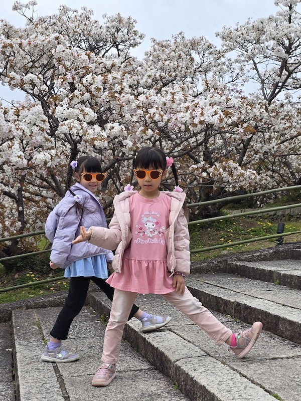 今年櫻花早開怎麼辦?京都「晚開櫻」首選仁和寺:帶孩子輕鬆賞櫻的世界遺產之旅 - 第12張圖 今年櫻花早開怎麼辦?京都「晚開櫻」首選仁和寺:帶孩子輕鬆賞櫻的世界遺產之旅