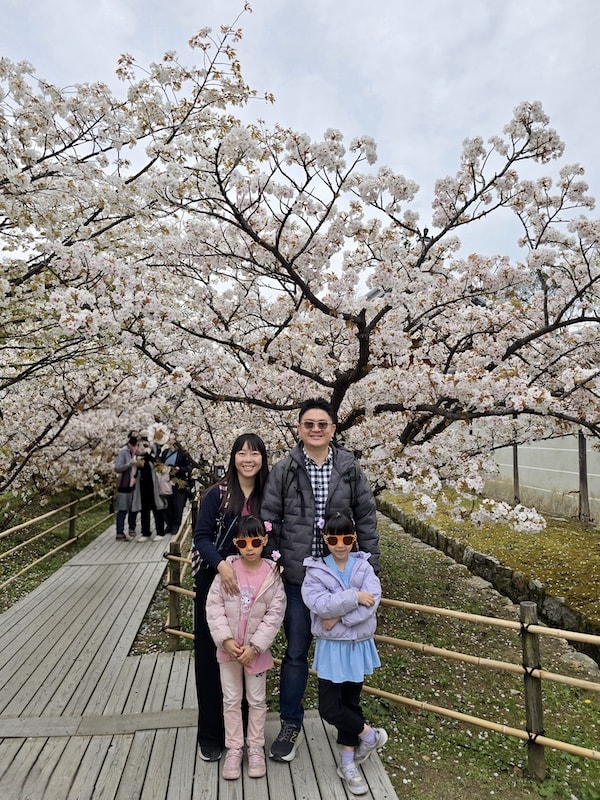 今年櫻花早開怎麼辦?京都「晚開櫻」首選仁和寺:帶孩子輕鬆賞櫻的世界遺產之旅 - 第24張圖 今年櫻花早開怎麼辦?京都「晚開櫻」首選仁和寺:帶孩子輕鬆賞櫻的世界遺產之旅