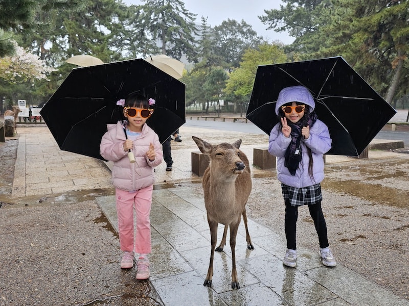 奈良雨中賞櫻記,還是轉戰天王寺入手 On 運動鞋比較實在 - 第7張圖 奈良雨中賞櫻記,還是轉戰天王寺入手 On 運動鞋比較實在