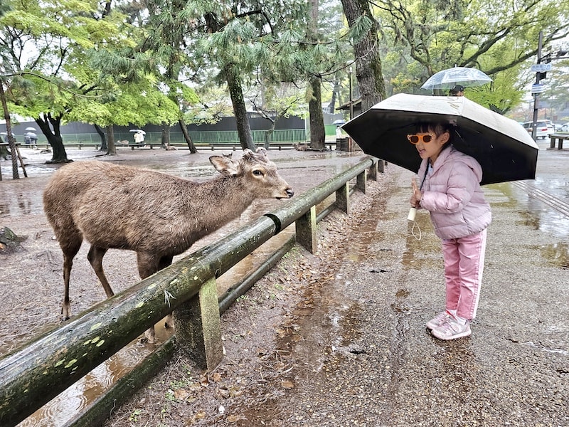 奈良雨中賞櫻記,還是轉戰天王寺入手 On 運動鞋比較實在 - 第8張圖 奈良雨中賞櫻記,還是轉戰天王寺入手 On 運動鞋比較實在