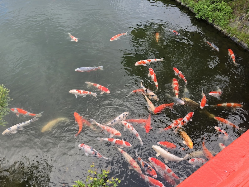 高松景點推薦|米其林栗林公園與屋島展望台瀨戶內海眺望 - 第28張圖 高松景點推薦|米其林栗林公園與屋島展望台瀨戶內海眺望