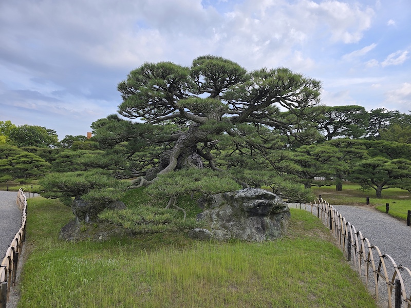 高松景點推薦|米其林栗林公園與屋島展望台瀨戶內海眺望 - 第29張圖 高松景點推薦|米其林栗林公園與屋島展望台瀨戶內海眺望