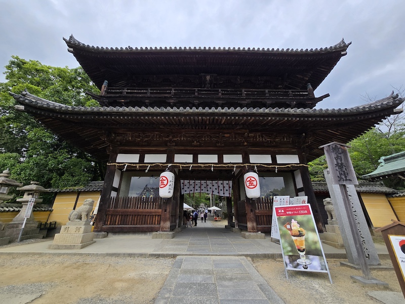 【四國香川】漫步滿濃公園虞美人花海、朝聖金刀比羅宮品嚐道地烏龍麵