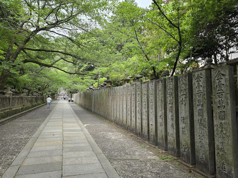 【四國香川】漫步滿濃公園虞美人花海、朝聖金刀比羅宮品嚐道地烏龍麵
